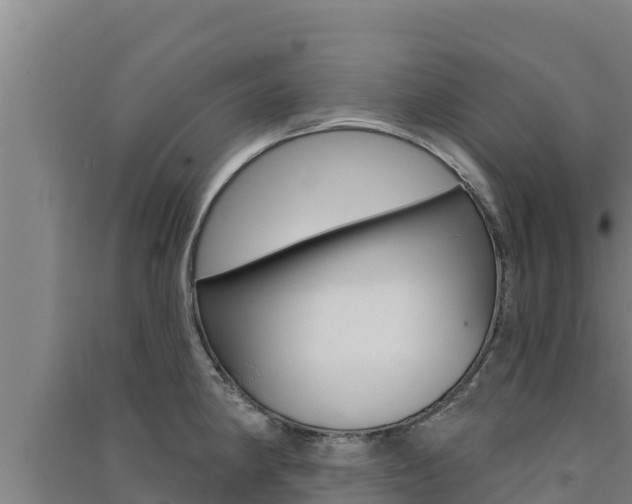 X0000091561190200708171055