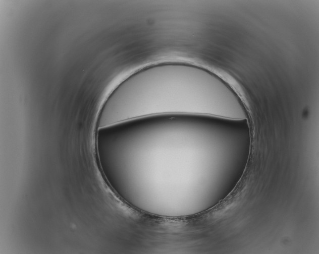 X0000091561191200708171055