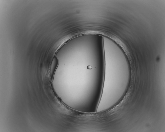 X0000091561193200708171055