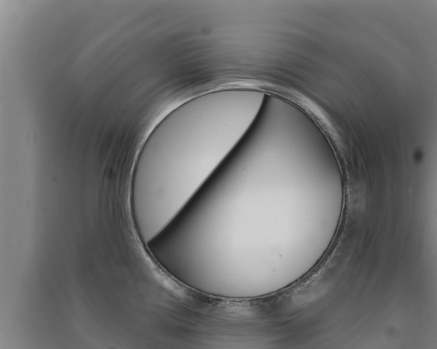 X0000091561194200708171055