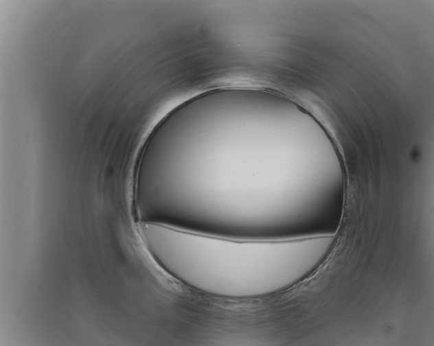 X0000091561195200708171055