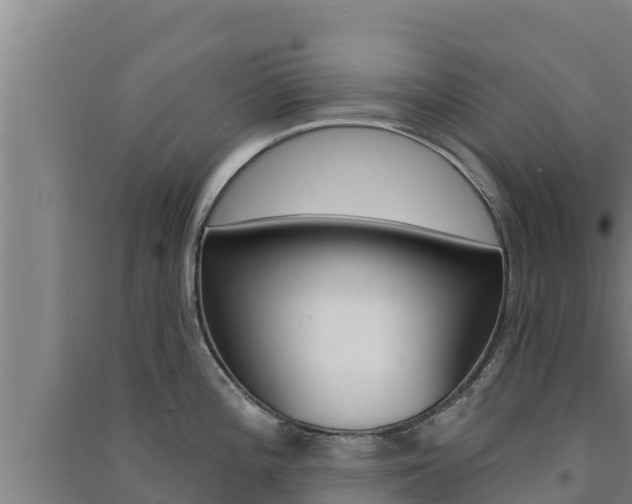 X0000091561196200708171055