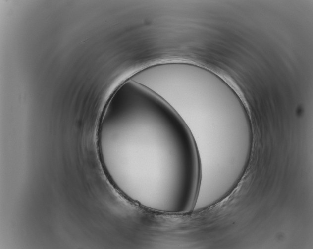 X0000091561197200708171055