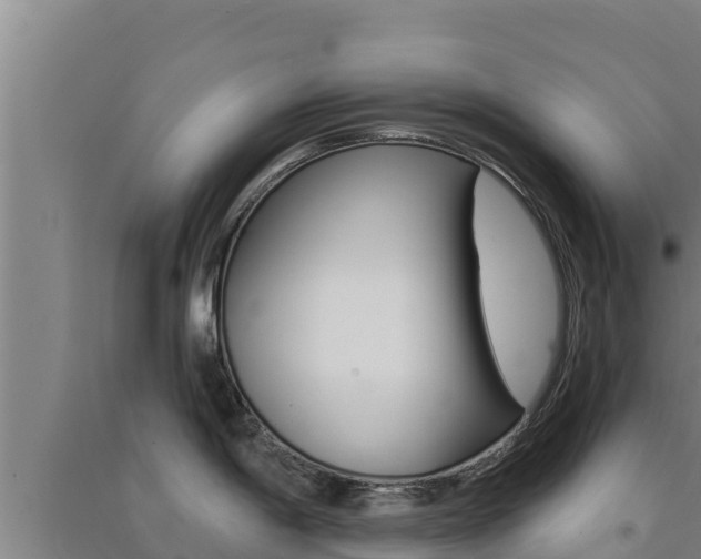 X0000091561198200708171055