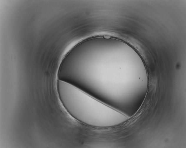 X0000091561199200708171055