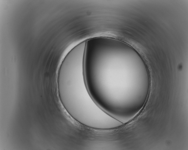 X0000091561200200708171055
