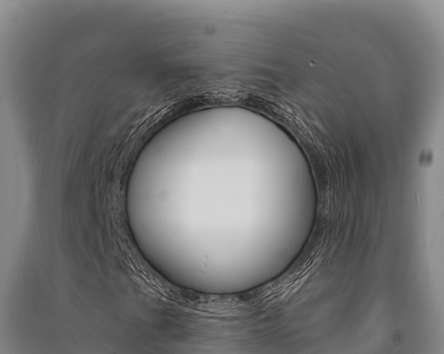X0000091561201200708171054