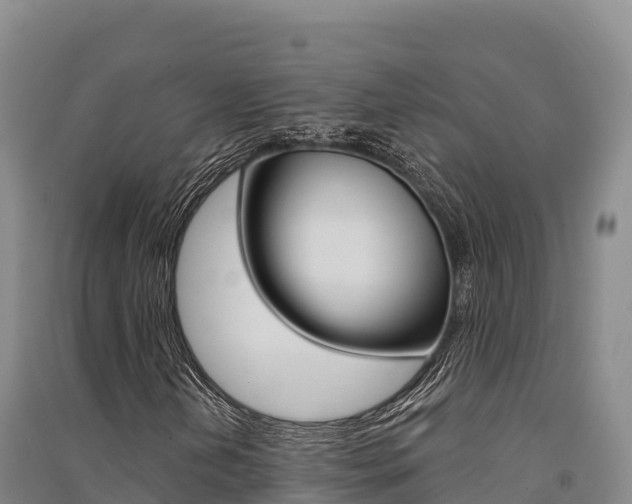 X0000091561202200708171054