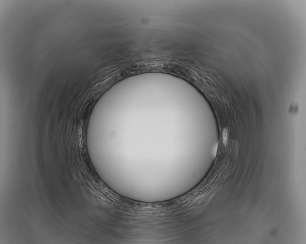 X0000091561203200708171054
