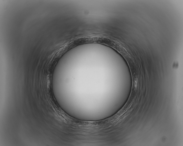 X0000091561204200708171054
