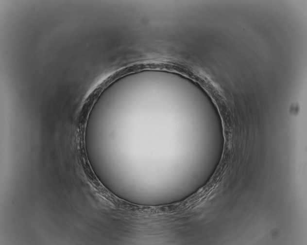 X0000091561208200708171054