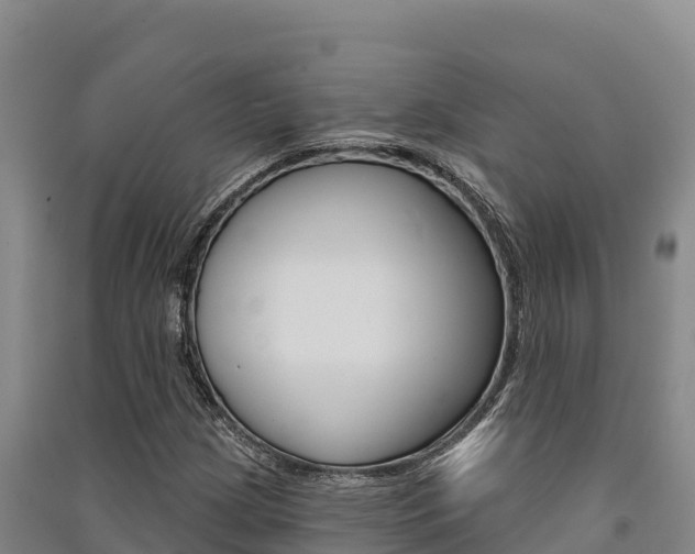 X0000091561209200708171054