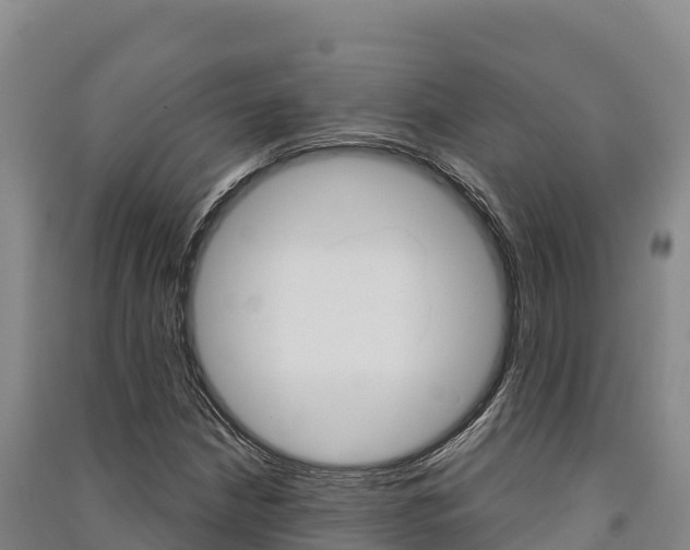 X0000091561210200708171054
