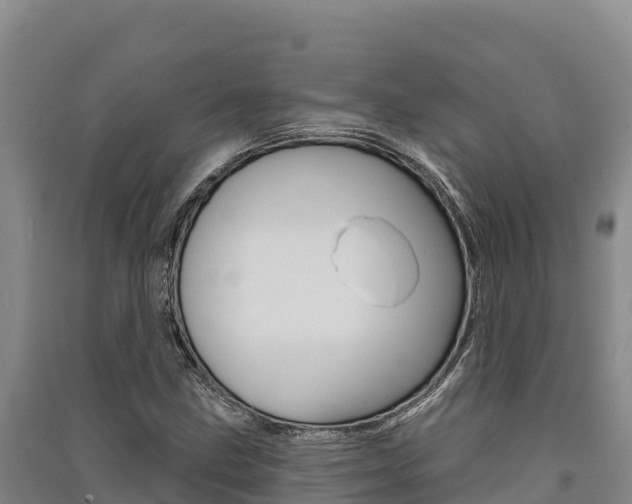 X0000091561211200708171054