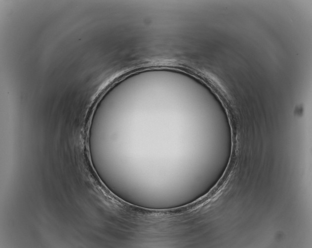 X0000091561212200708171054
