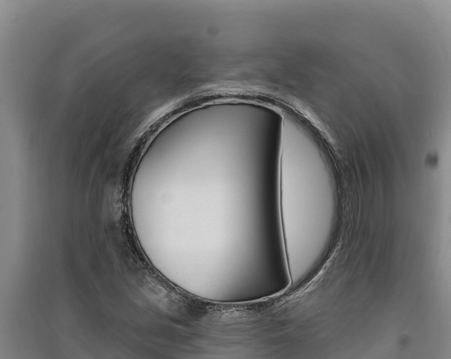 X0000091561213200708171054