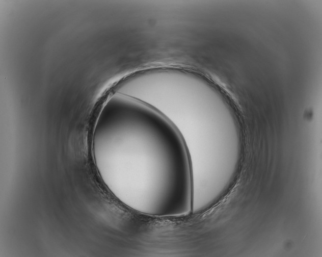 X0000091561214200708171054