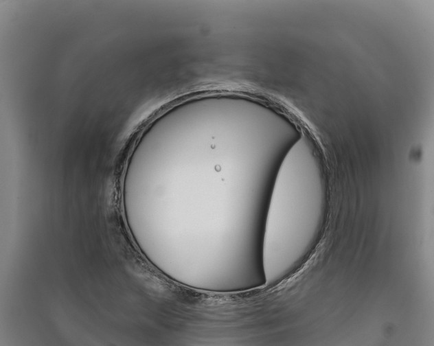 X0000091561215200708171054