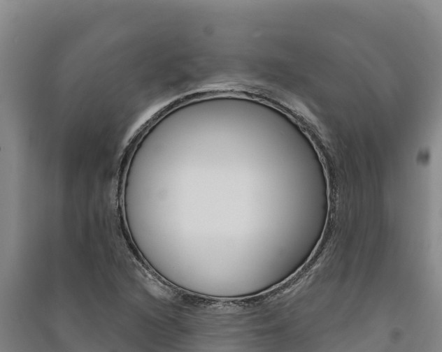 X0000091561216200708171054