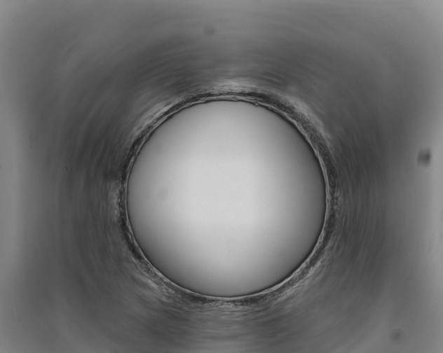 X0000091561217200708171054