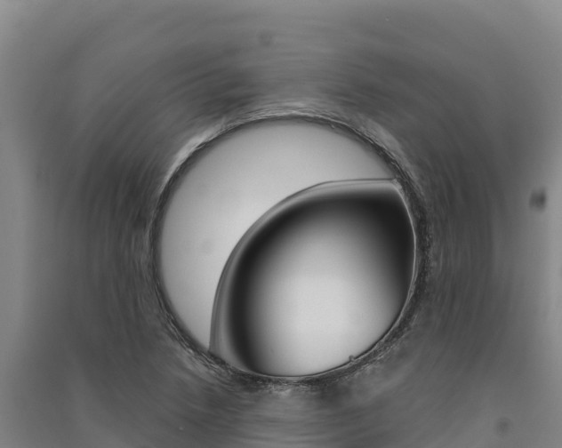 X0000091561218200708171054