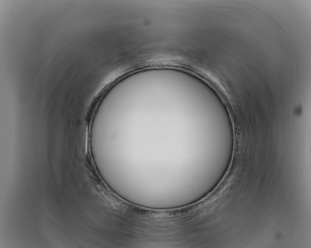 X0000091561219200708171054
