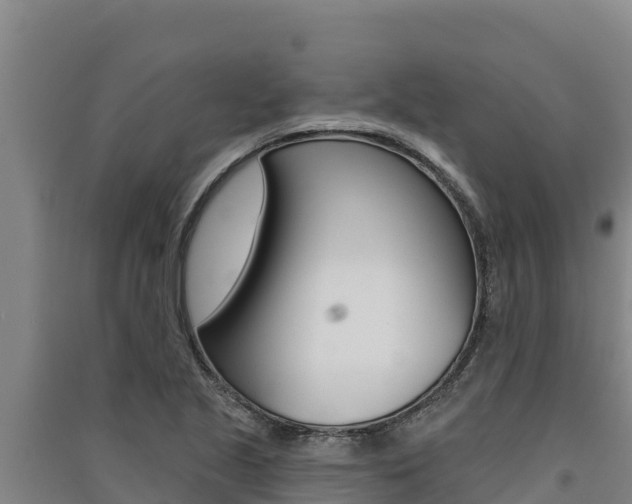 X0000091561221200708171054