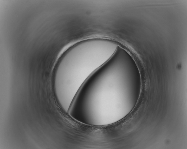 X0000091561222200708171054