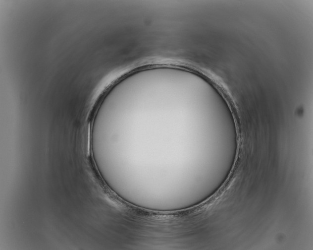 X0000091561223200708171054
