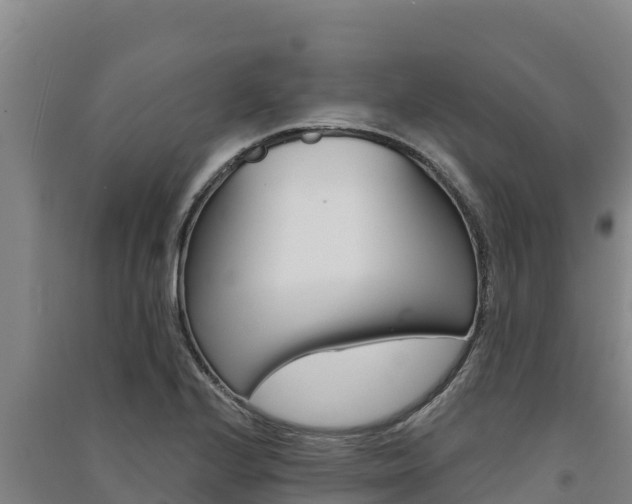 X0000091561224200708171054