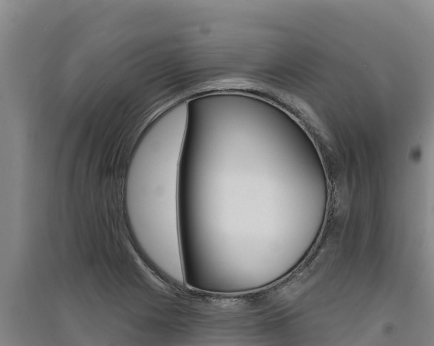 X0000091561225200708171054