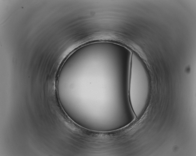 X0000091561226200708171054