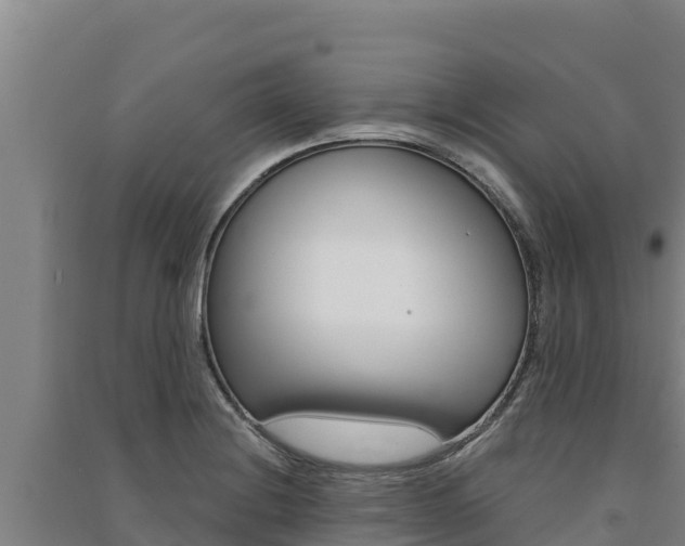X0000091561228200708171054