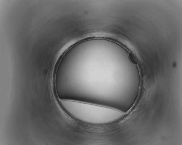 X0000091561229200708171054