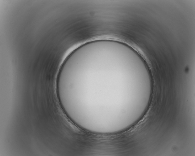 X0000091561230200708171054