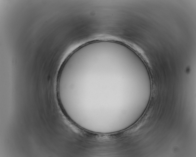 X0000091561231200708171054