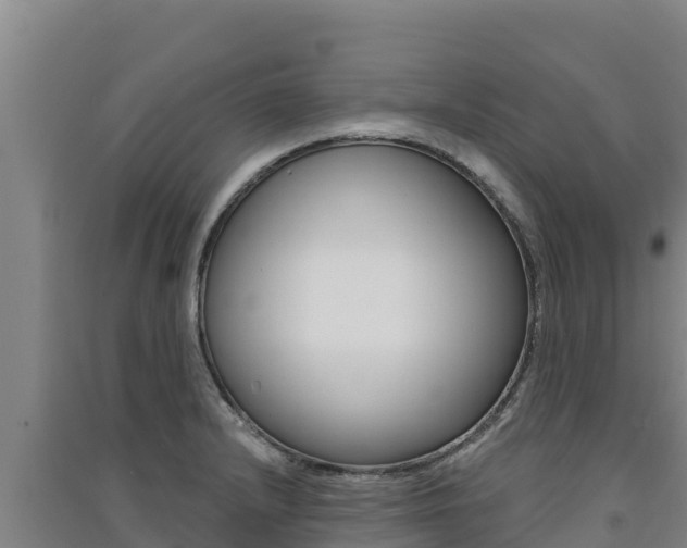 X0000091561232200708171054