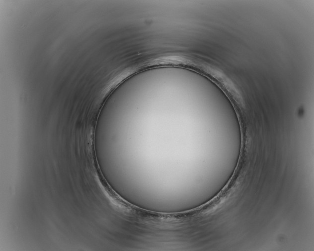 X0000091561233200708171054