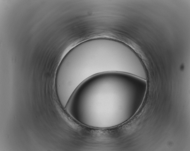 X0000091561234200708171054