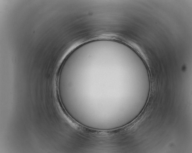 X0000091561235200708171054