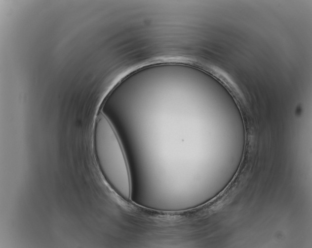 X0000091561236200708171054