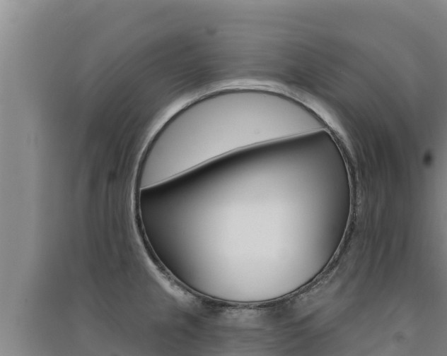 X0000091561237200708171054