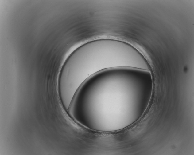 X0000091561238200708171054