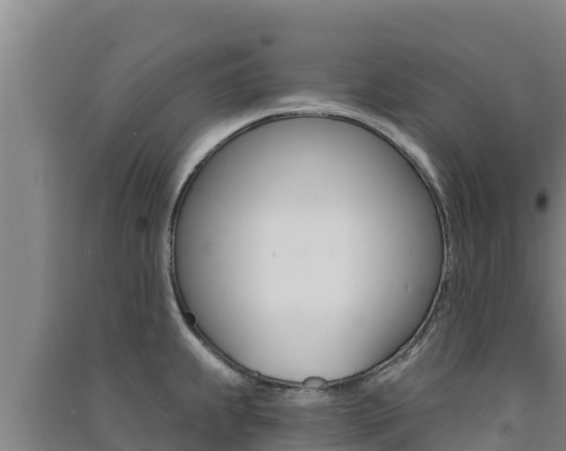 X0000091561239200708171054