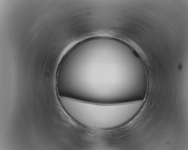 X0000091561240200708171054