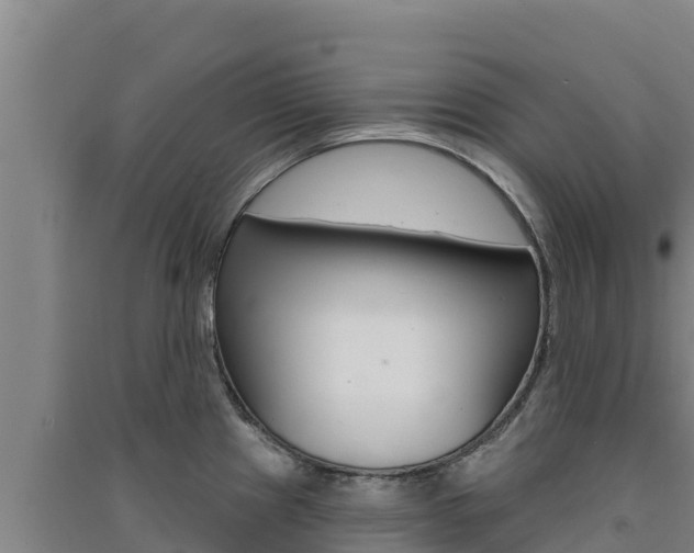 X0000091561241200708171054