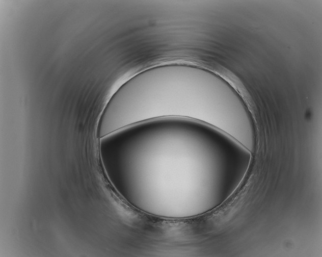 X0000091561242200708171054