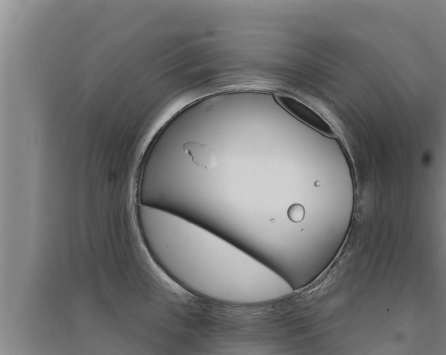 X0000091561243200708171054