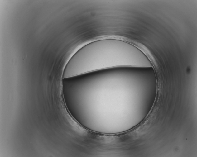 X0000091561244200708171054