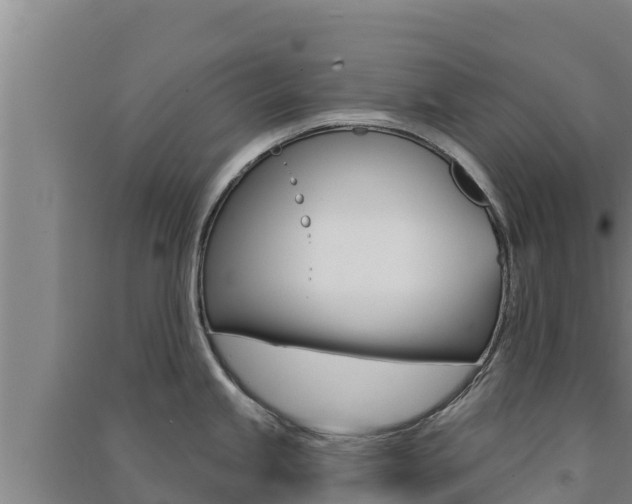X0000091561245200708171054